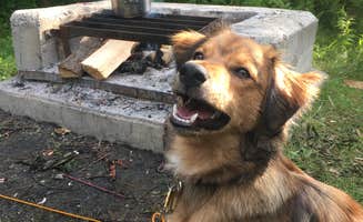 Elizabeth B.'s photo of camping with pets at Paradox Lake Campground near Adirondack, NY