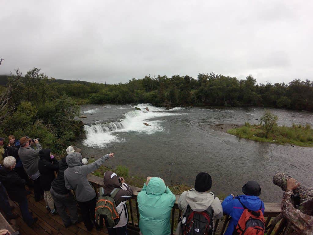 Camper submitted image from Brooks Camp Campground — Katmai Bay National Park - 5