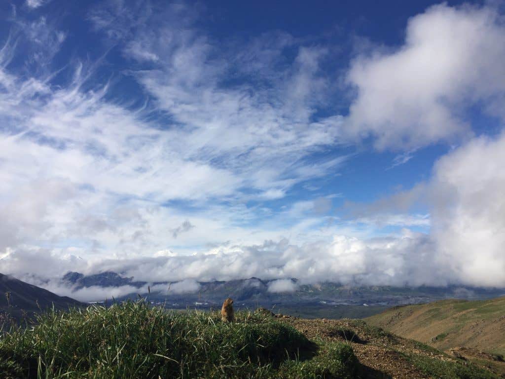 Camper-submitted photo at Wonder Lake Campground — Denali National Park in Alaska