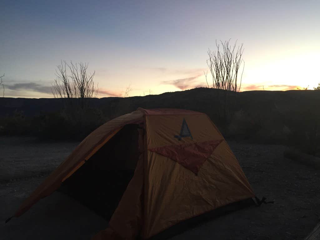SwitchbackKids's photo at Ocotillo Grove Primitive Campsite — Big Bend National Park near Terlingua, TX