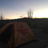 Review photo of Ocotillo Grove Primitive Campsite — Big Bend National Park by SwitchbackKids , July 27, 2017