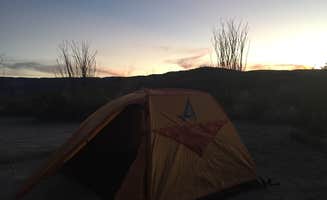 SwitchbackKids's photo at Ocotillo Grove Primitive Campsite — Big Bend National Park near Terlingua, TX