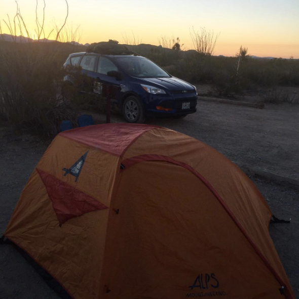 Camping near Black Dike — Big Bend National Park: Ocotillo Grove Primitive Campsite — Big Bend National Park, Terlingua, Texas
