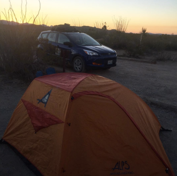 Camper submitted image from Ocotillo Grove Primitive Campsite — Big Bend National Park - 1