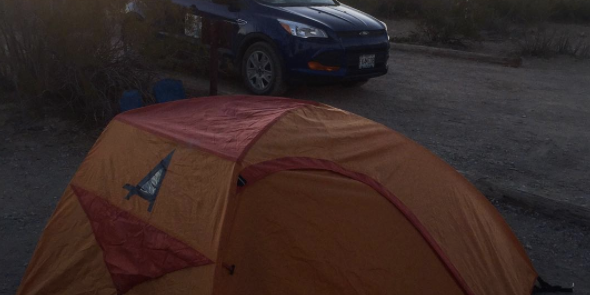 Camper submitted image from Ocotillo Grove Primitive Campsite — Big Bend National Park