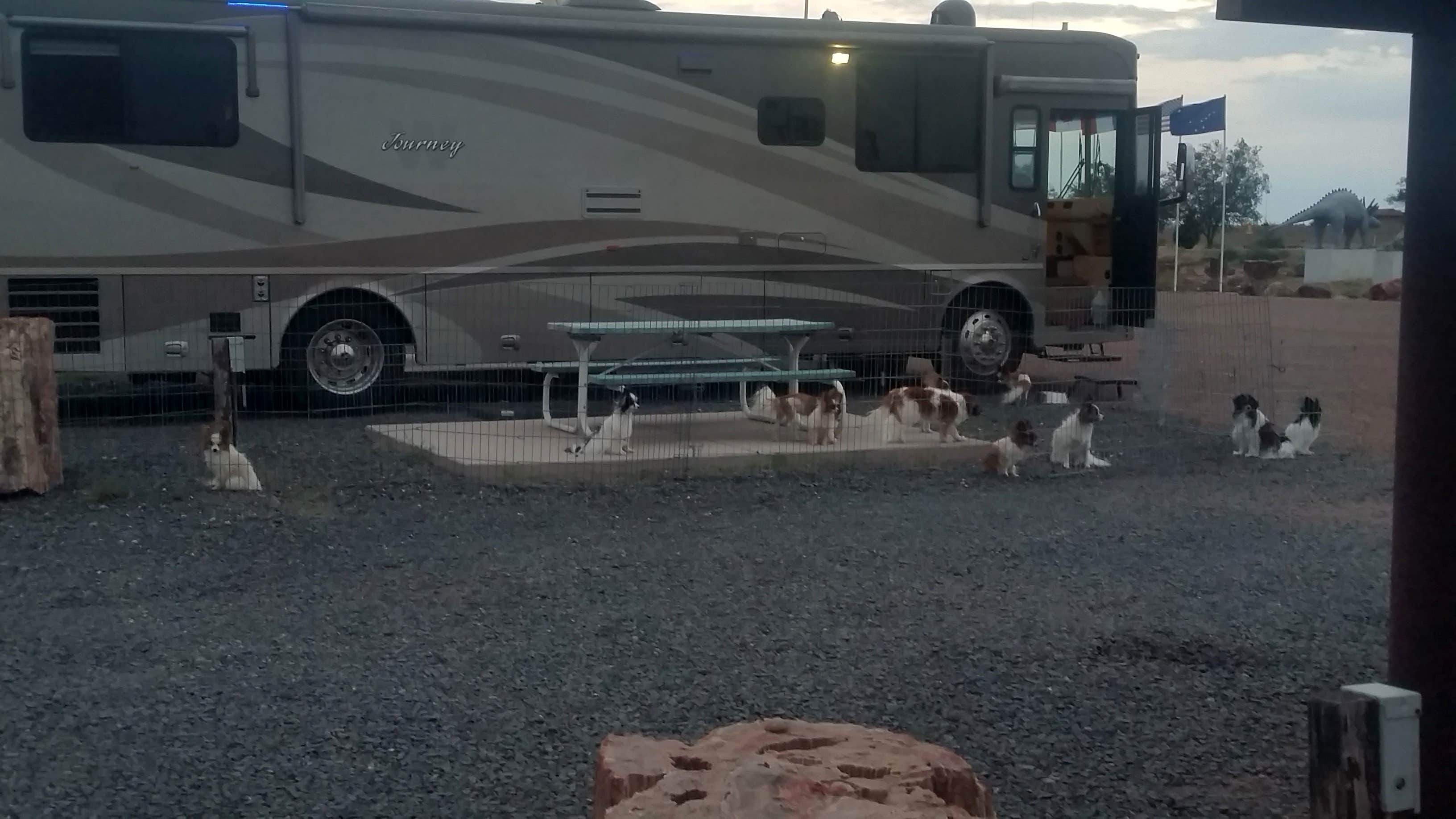 Jen G.'s photo of rv camping at Crystal Forest Museum and Gifts near Chambers, AZ