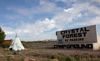 Jen G.'s photo of a dispersed camping area at Crystal Forest Museum and Gifts near St. Johns, AZ