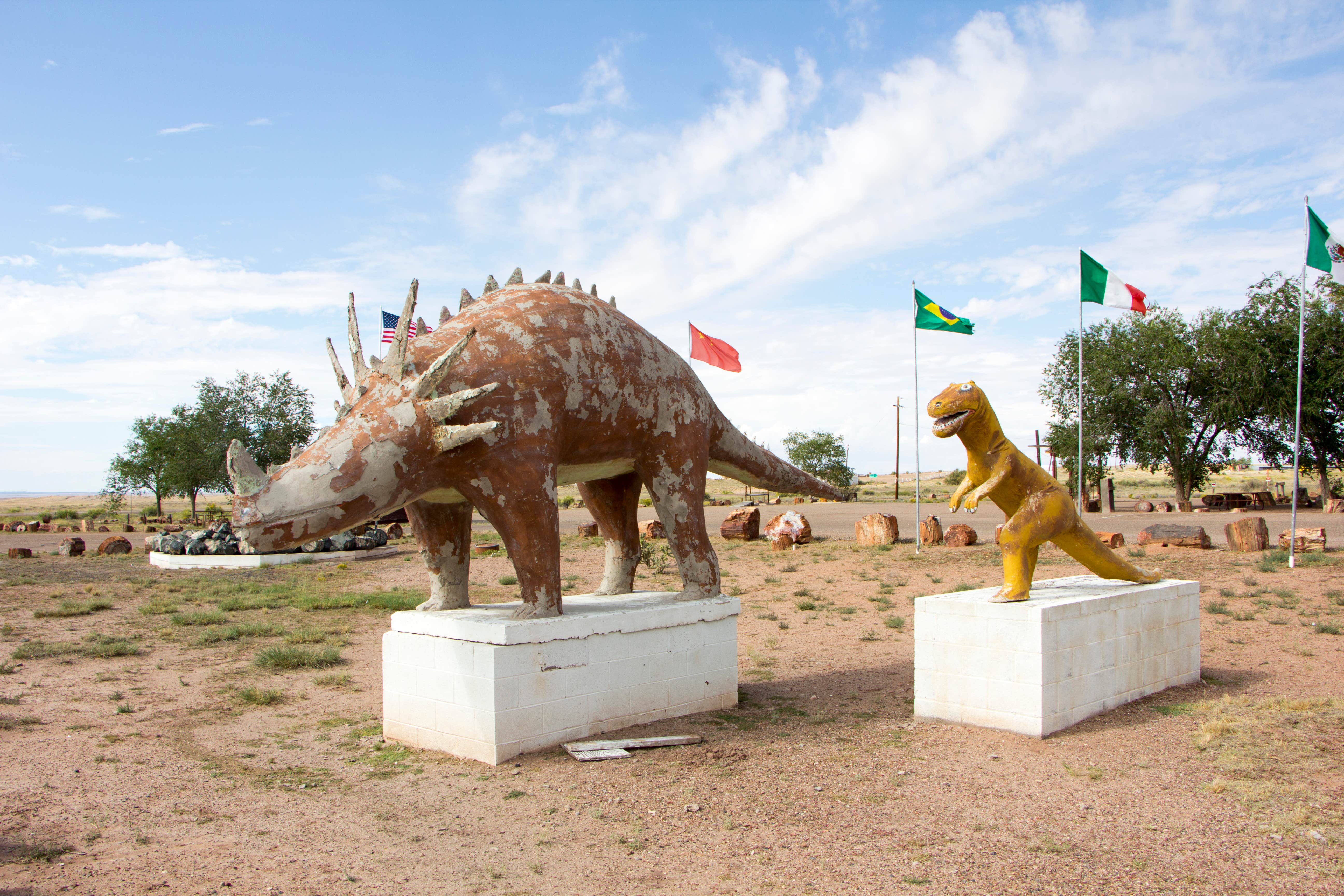 Camper-submitted photo at Crystal Forest Museum and Gifts near St. Johns, AZ