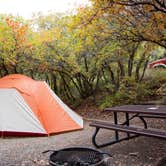 Review photo of Morefield Campground — Mesa Verde National Park by Jen G., July 27, 2017