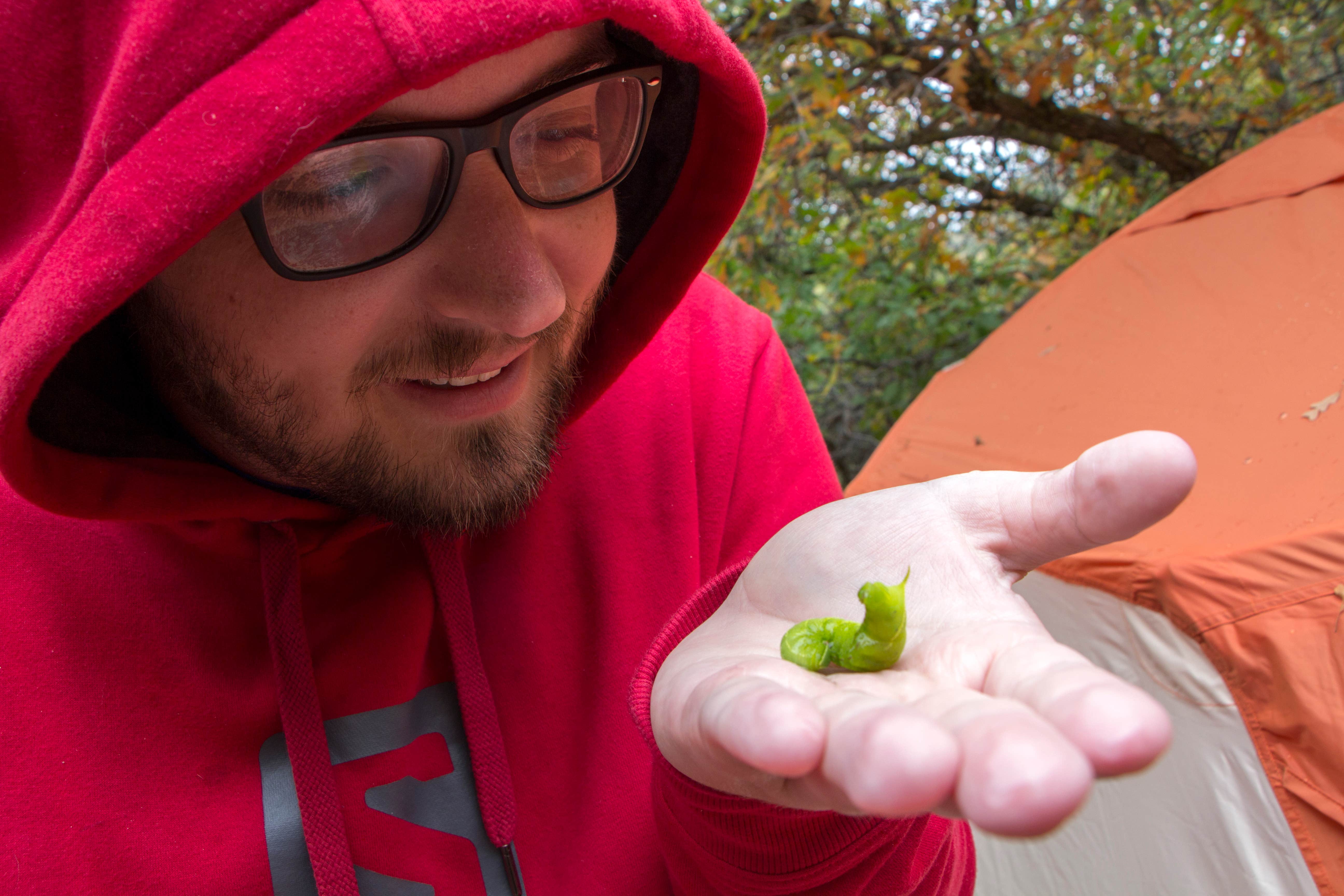 Camper-submitted photo at Morefield Campground — Mesa Verde National Park near Kirtland, NM