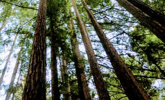 Camping near Big Basin Redwoods State Park — Big Basin Redwoods State Park - CAMPGROUND CLOSED: Little Basin Cabins and Campground — Big Basin Redwoods State Park, Boulder Creek, California