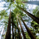 Review photo of Little Basin Cabins and Campground — Big Basin Redwoods State Park by Basia M., July 27, 2017