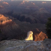 Review photo of Mather Campground — Grand Canyon National Park by David B., June 28, 2016