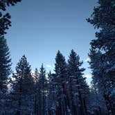 Review photo of Tahoe Valley Campground by Basia M., July 27, 2017