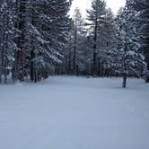 Review photo of Tahoe Valley Campground by Basia M., July 27, 2017