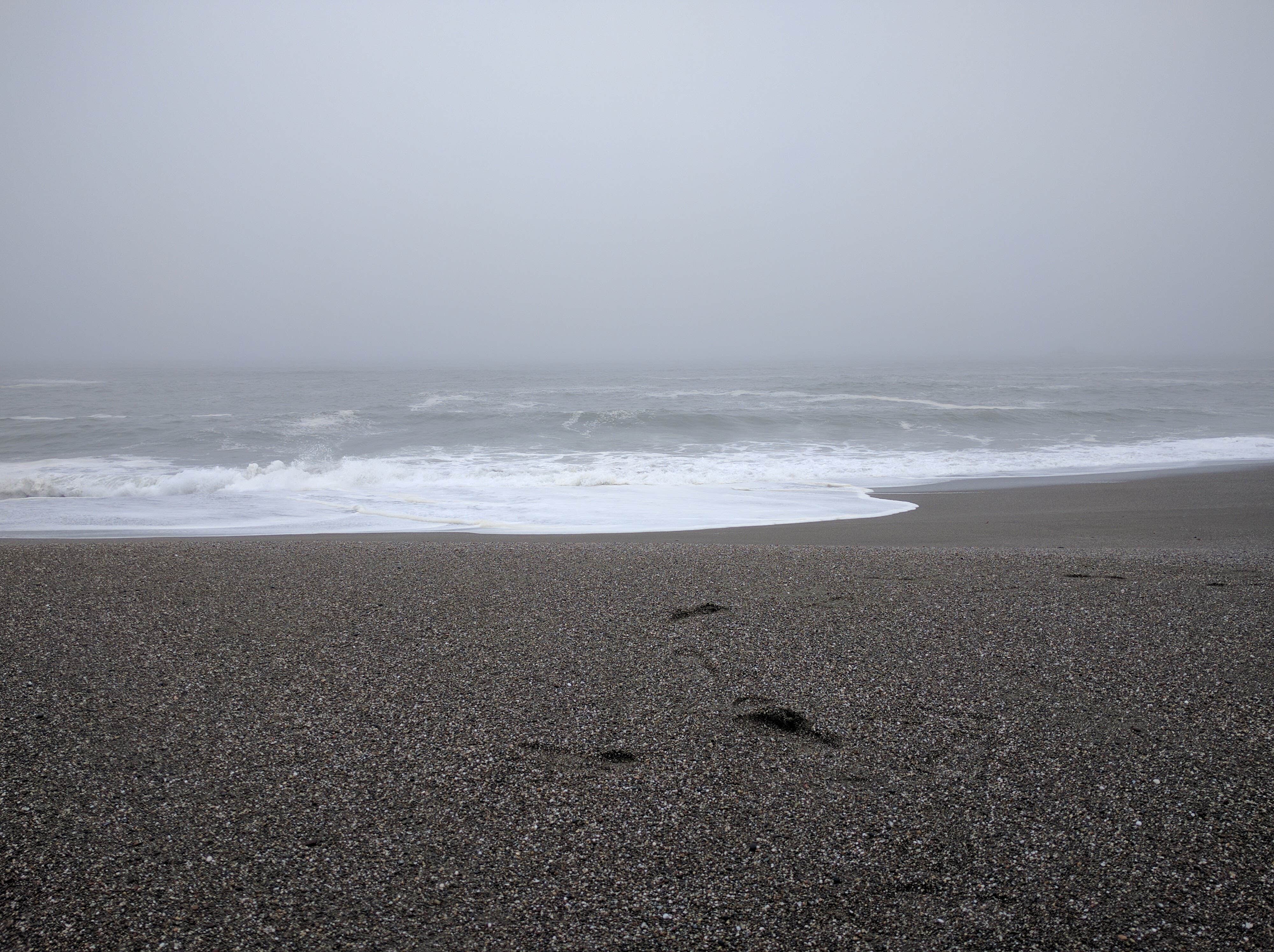 Camper submitted image from Sonoma Coast Sb - 3