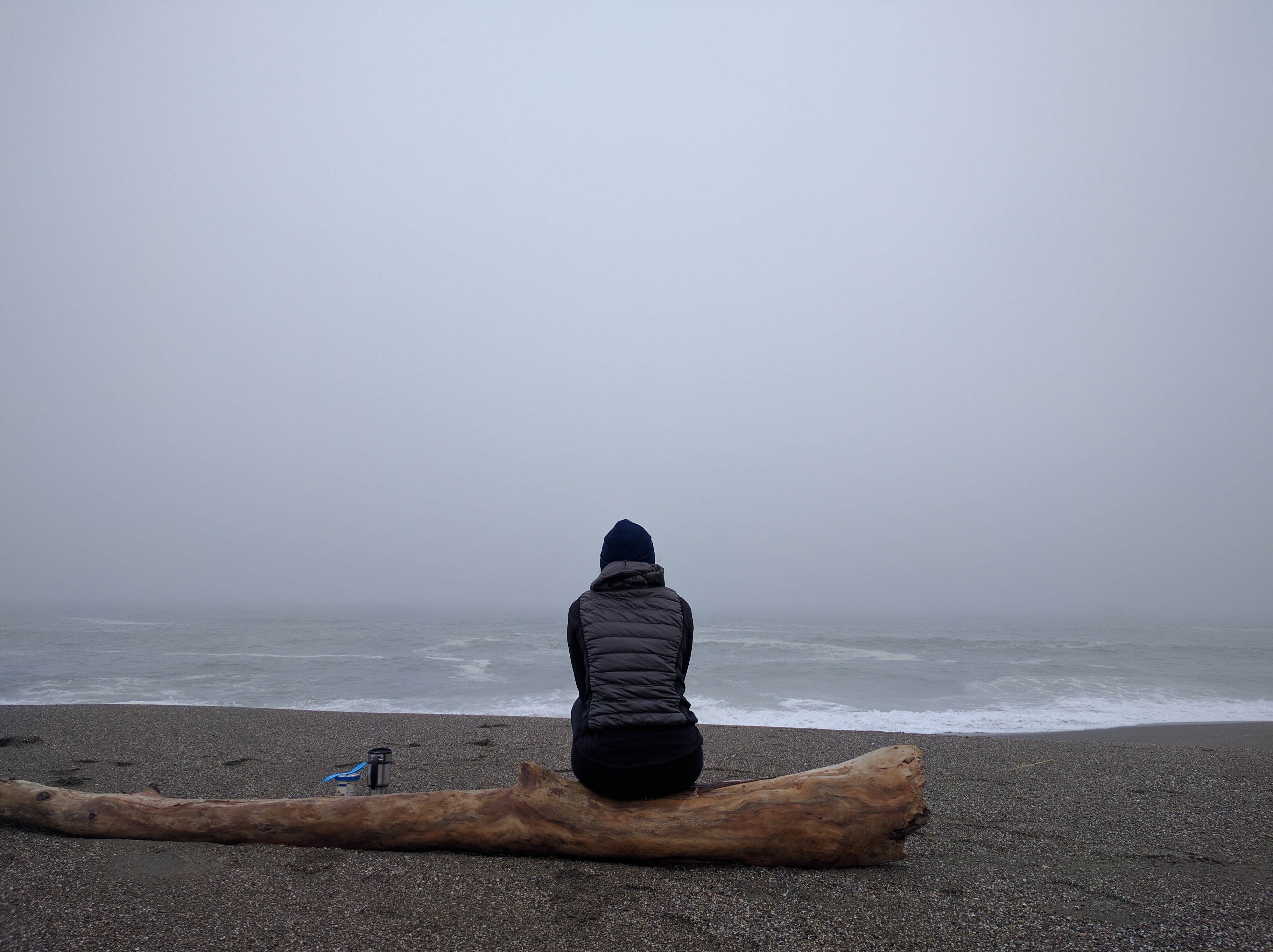 Camper submitted image from Sonoma Coast Sb - 1
