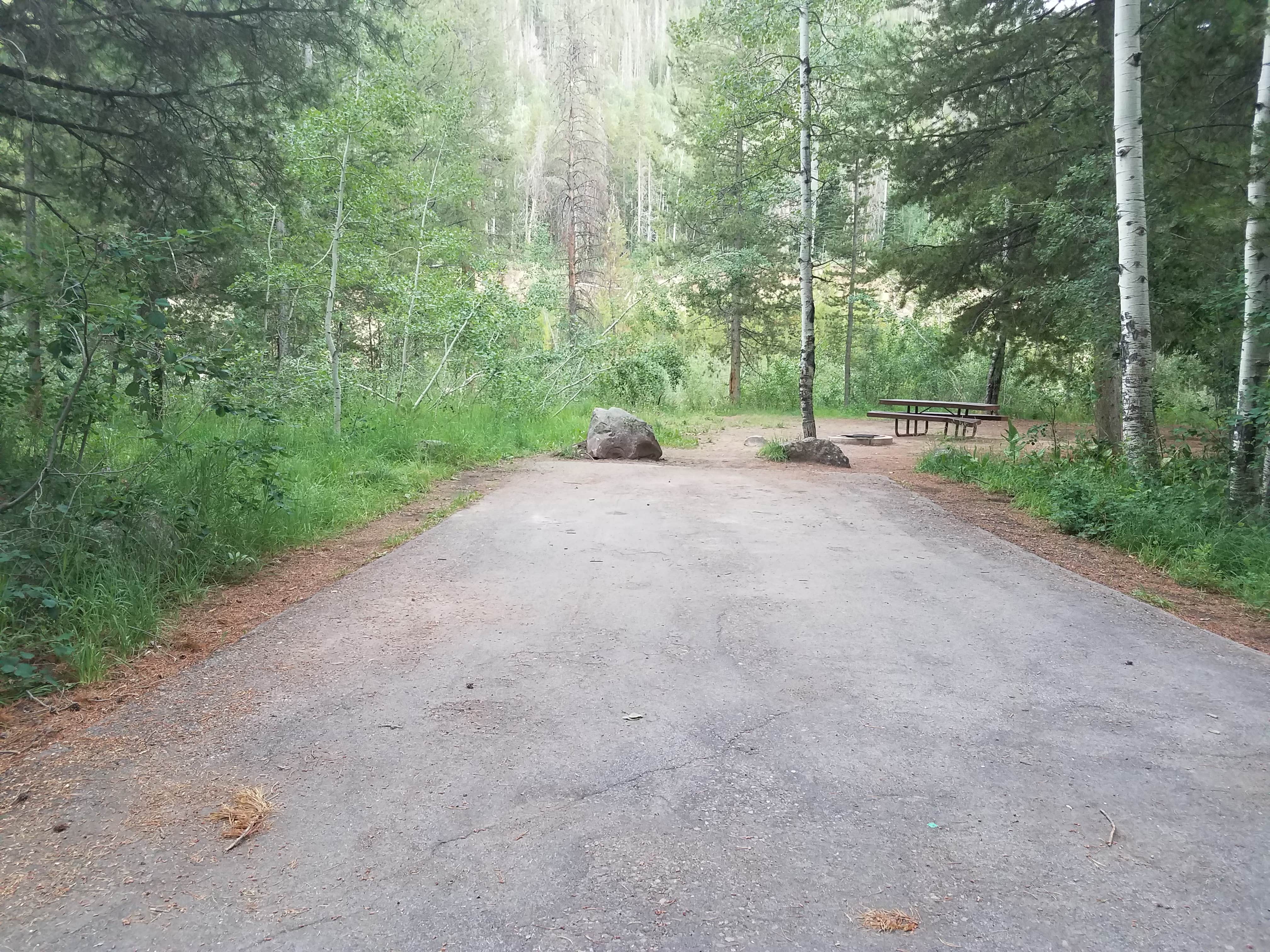 Camper submitted image from Wasatch National Forest Soapstone Campground - 3