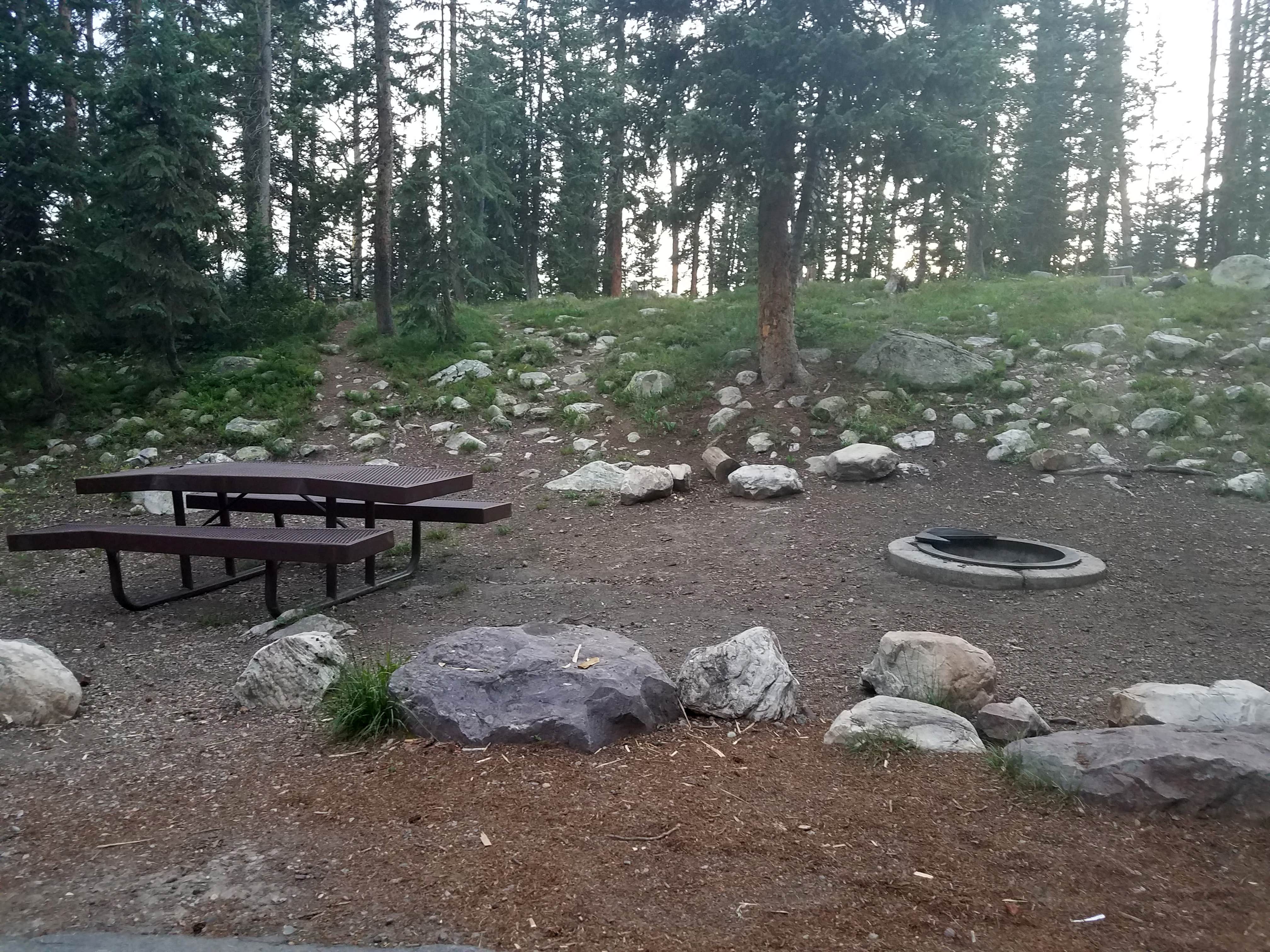 Camper submitted image from Lost Creek Campground - 4