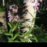 Review photo of Eklutna - Chugach State Park by Aimee H., July 27, 2017