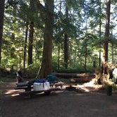 Review photo of Mora Campground — Olympic National Park by Amber B., July 27, 2017