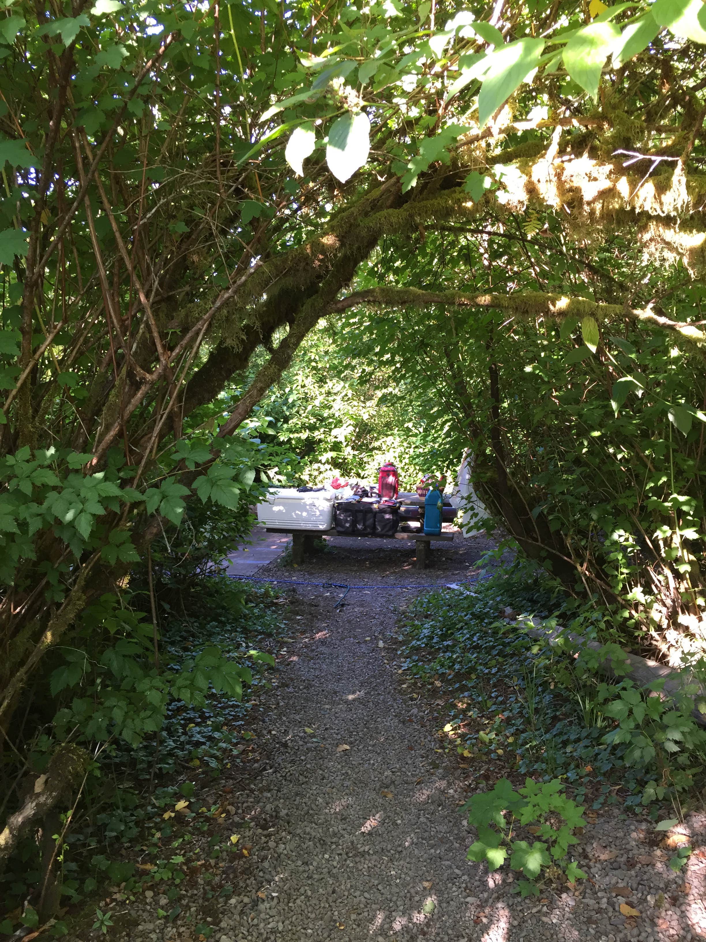 Camper submitted image from Gatton Creek Campground - 2