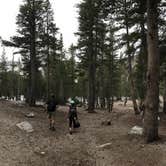 Review photo of Lake George Campground by Kuo G., July 27, 2017