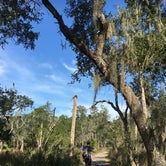 Review photo of Skidaway Island State Park Campground by Savannah C., July 27, 2017