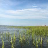 Review photo of Skidaway Island State Park Campground by Savannah C., July 27, 2017