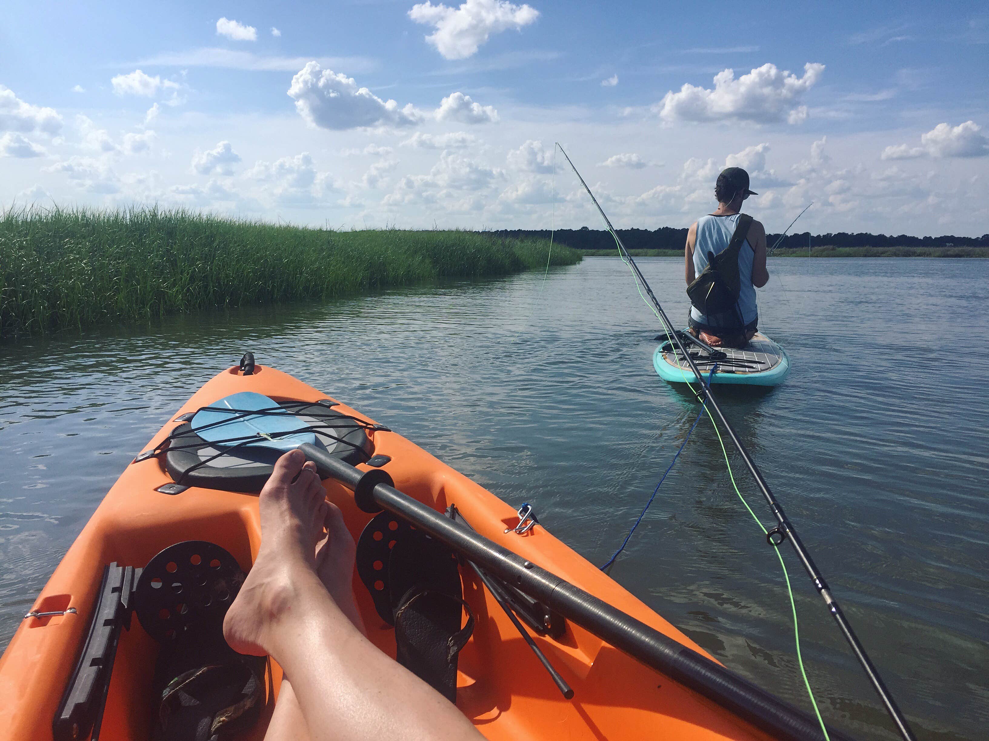Skidaway Island State Park Campground