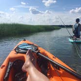 Review photo of Skidaway Island State Park Campground by Savannah C., July 27, 2017