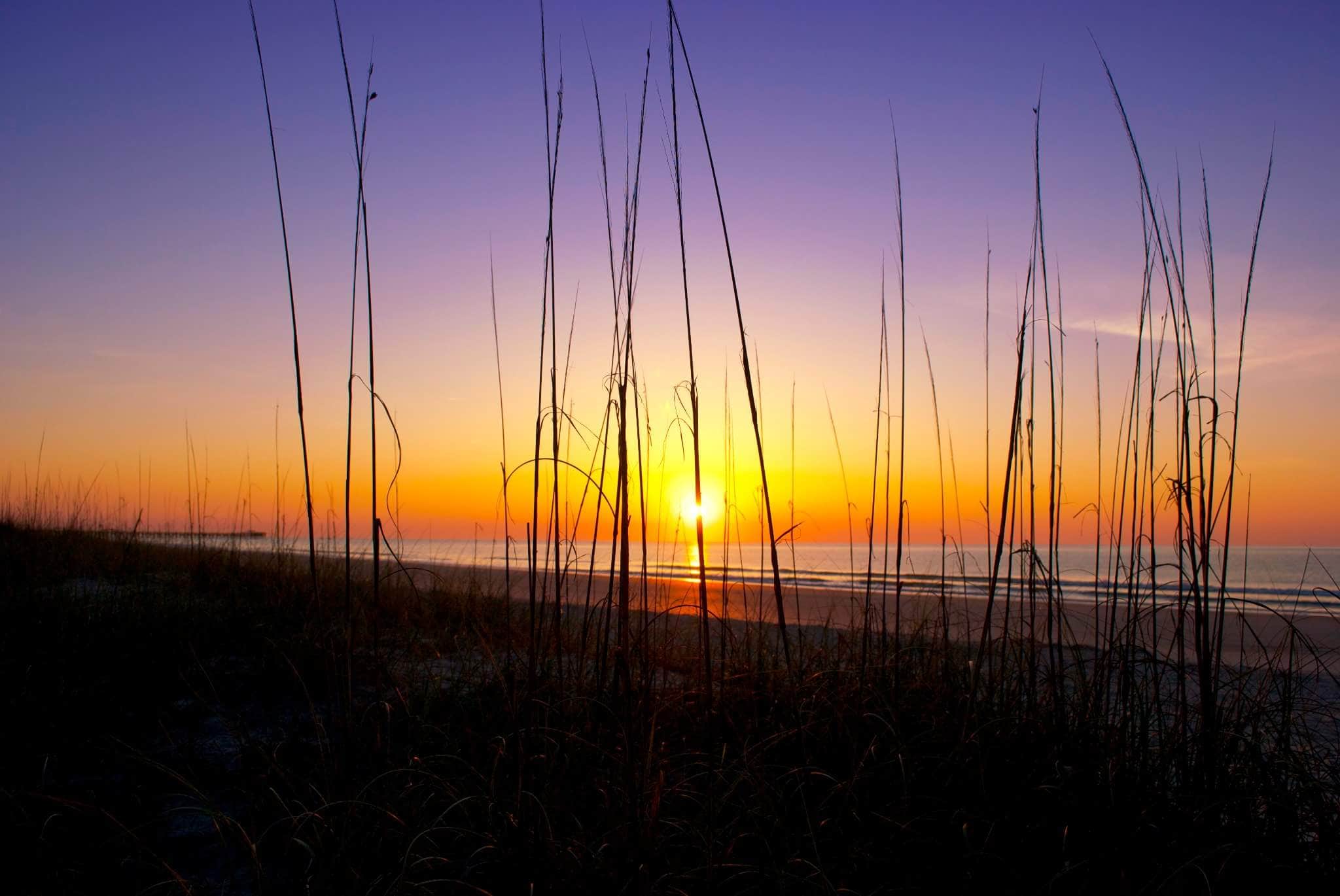 Camper submitted image from Myrtle Beach State Park Campground - 2