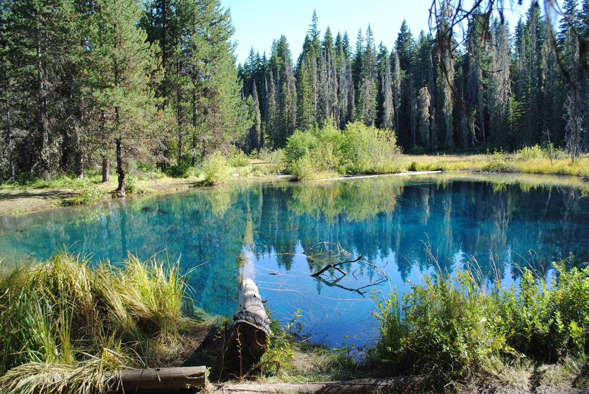 Camper submitted image from Little Crater Lake - 2