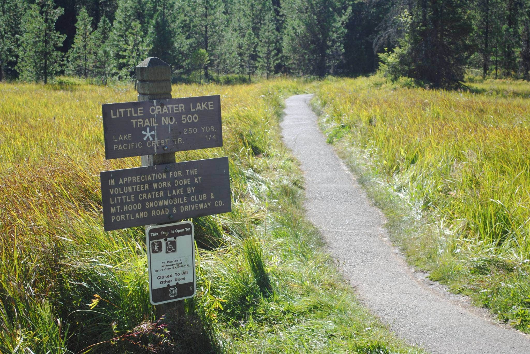 Camper submitted image from Little Crater Lake - 2