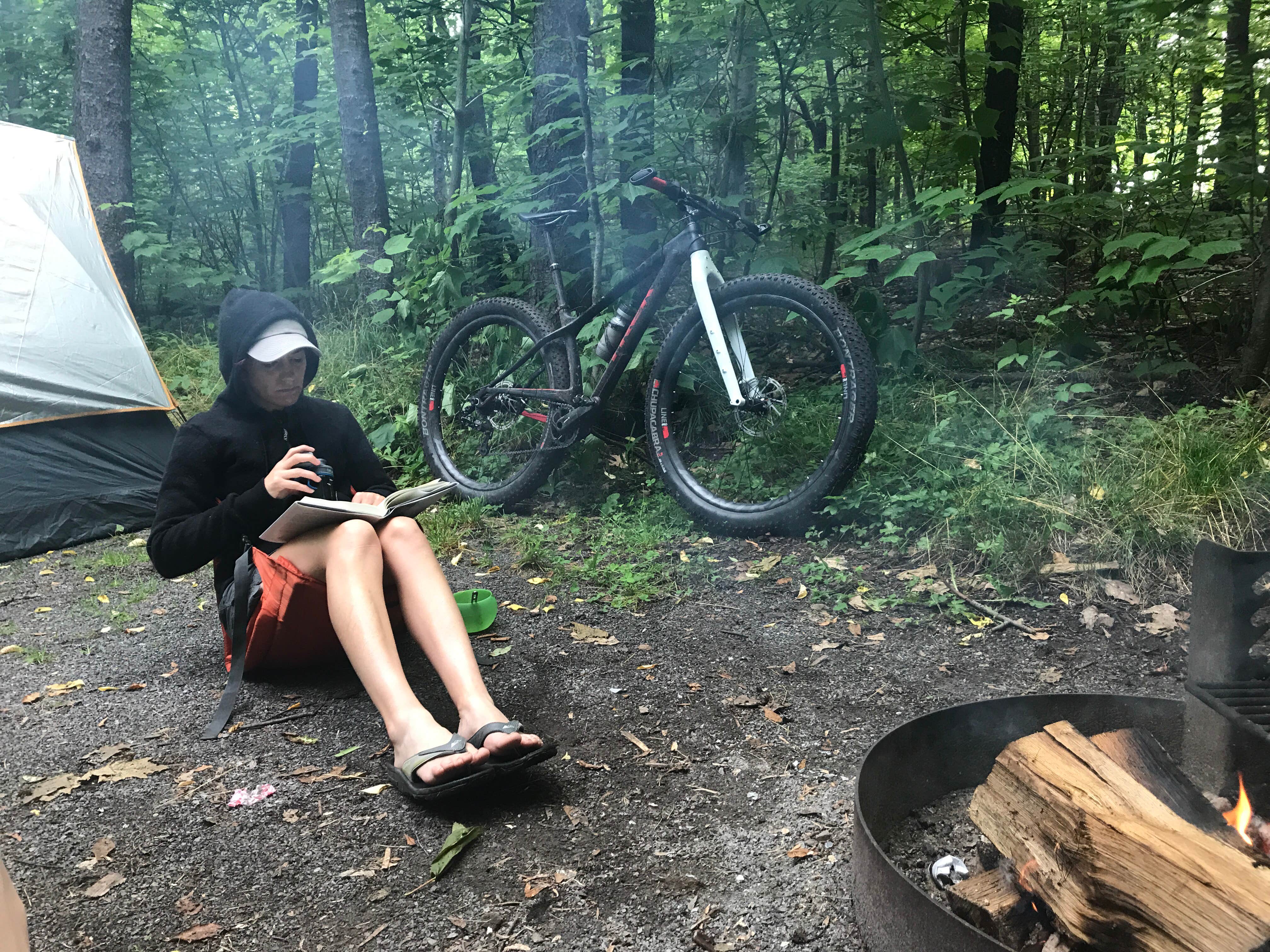 Camper submitted image from Blue Knob State Park Campground - 3
