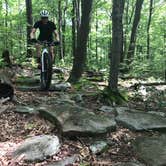 Review photo of Blue Knob State Park Campground by Travis S., July 27, 2017