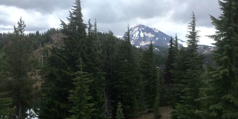 Camper submitted image from Lava Camp Lake Campground