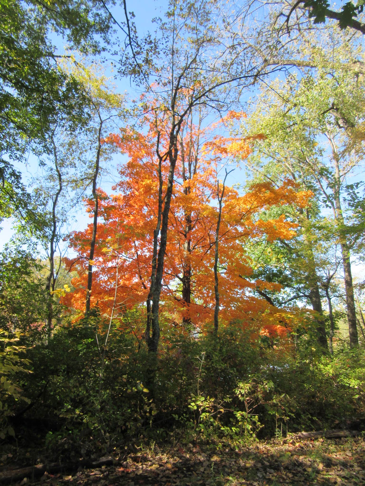 Camper submitted image from Moreau Lake State Park Campground - 2