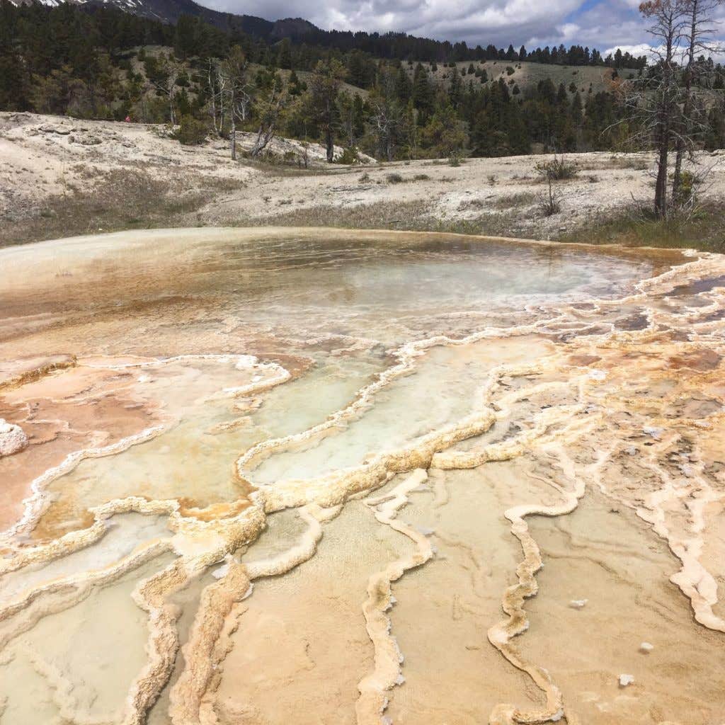 Camper-submitted photo at Custer-Gallatin National Forest Dispersed Camping near Emigrant, MT