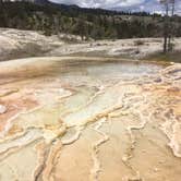 Review photo of Custer-Gallatin National Forest Dispersed Camping by SwitchbackKids , July 27, 2017