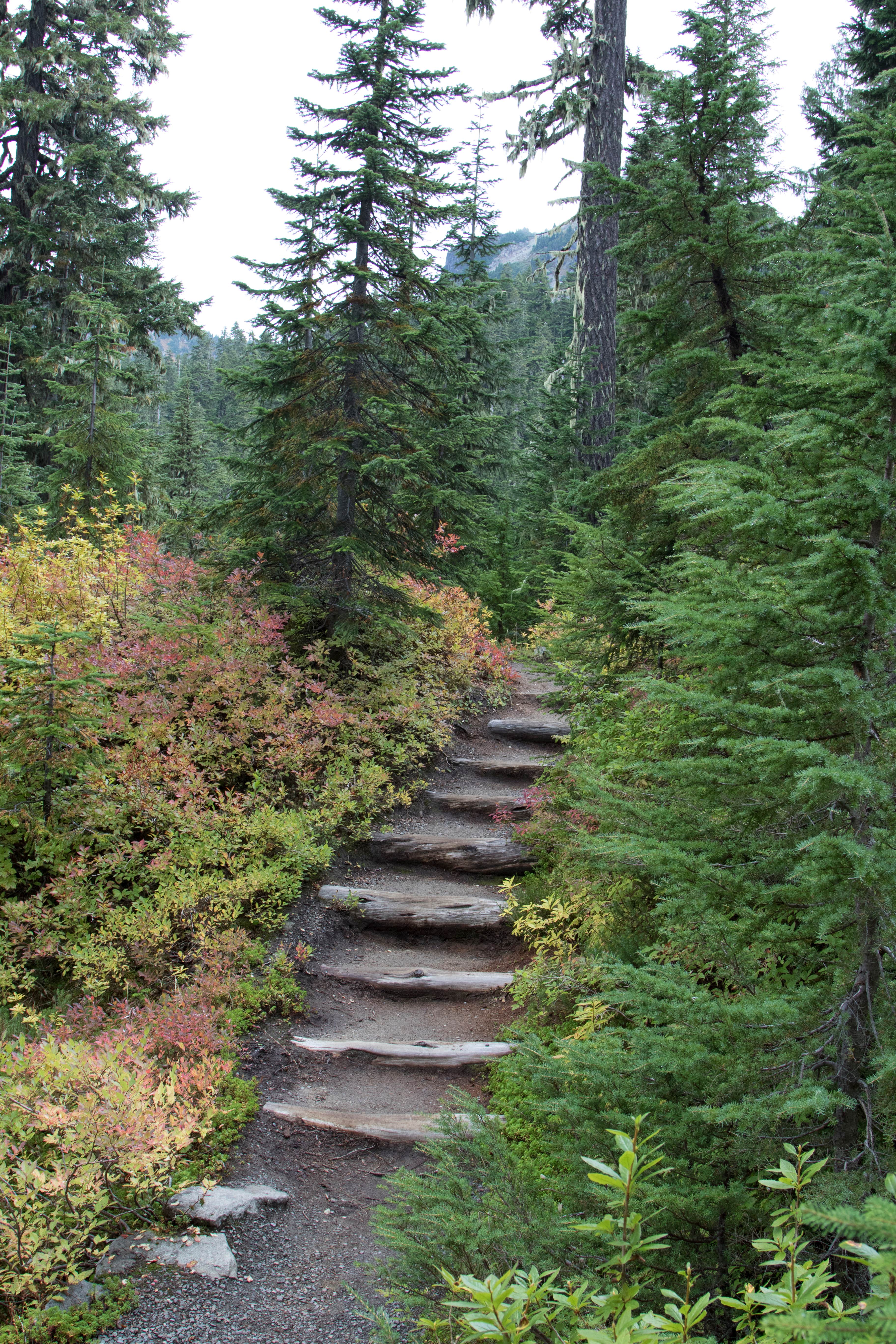 Camper-submitted photo at Mowich Lake Campground — Mount Rainier National Park near Carbonado, WA