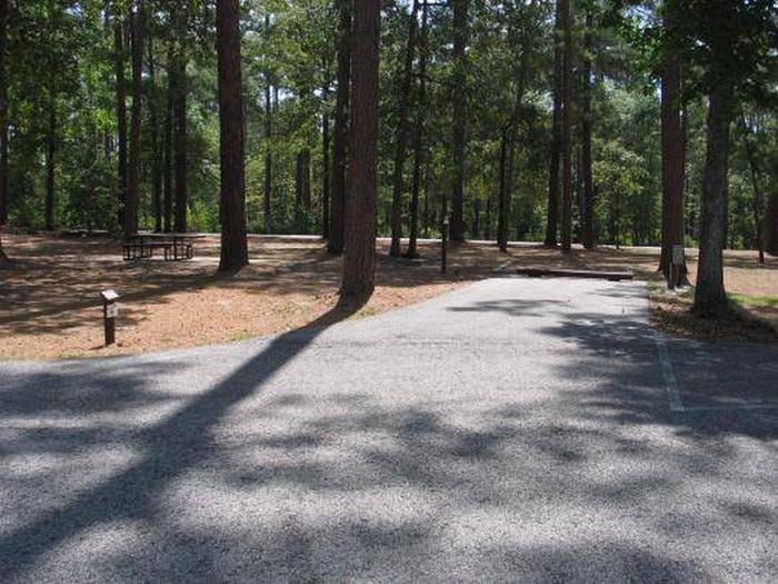 Camper submitted image from Cagle Recreation Area - 4