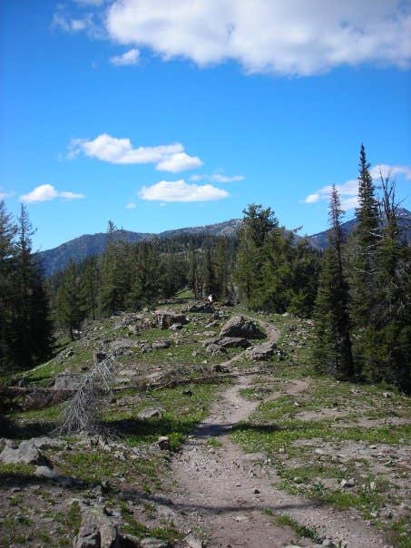 Camper submitted image from Early Winters Campground - 3