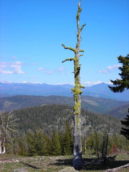 Camper-submitted photo at Early Winters Campground near Mazama, WA