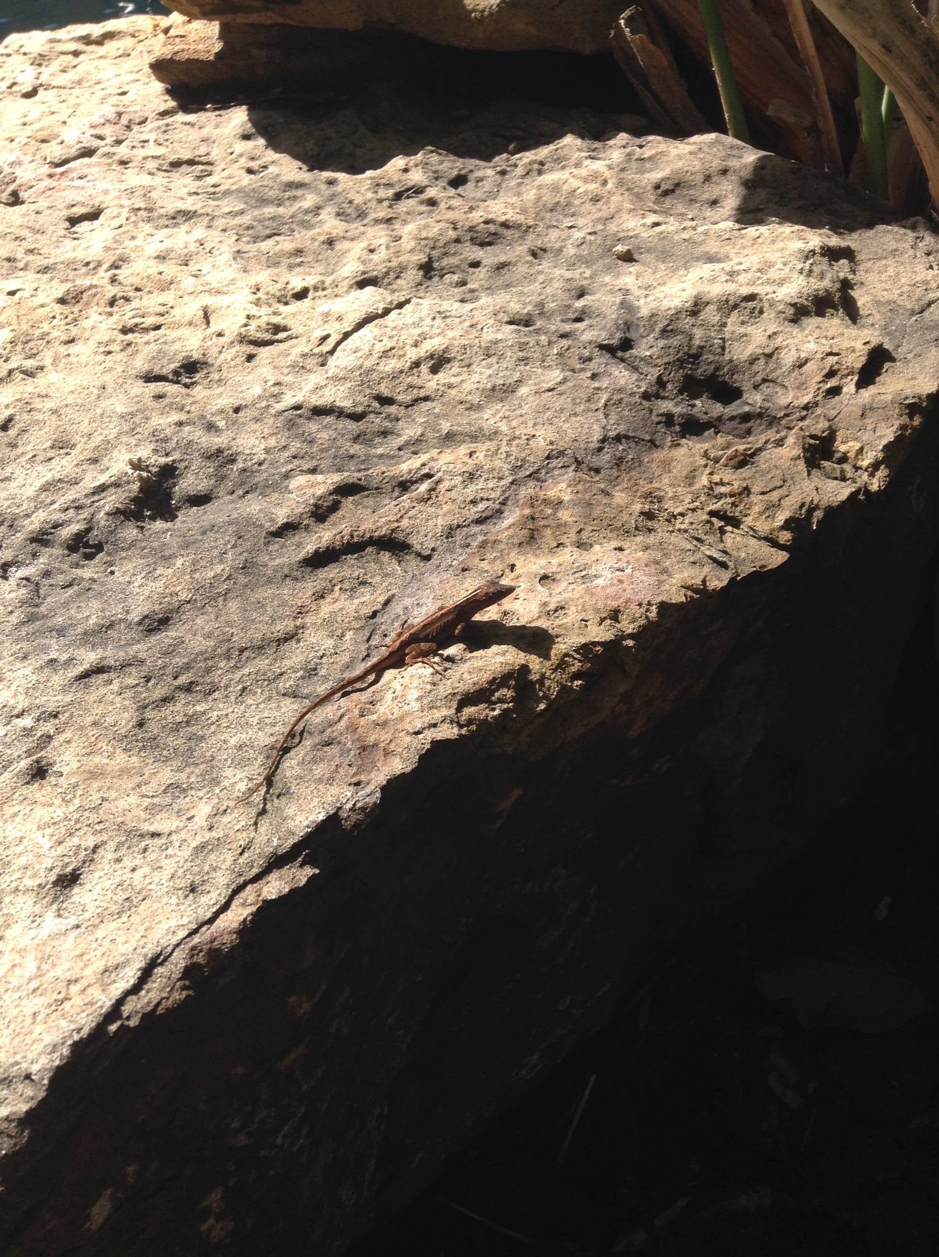 Camper-submitted photo at Moreau Lake State Park Campground near Saratoga Springs, NY