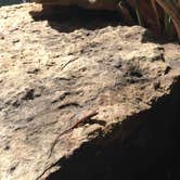 Review photo of Moreau Lake State Park Campground by Meike  W., June 28, 2016