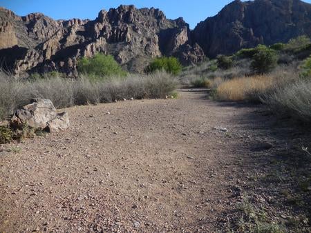 Camper submitted image from Chisos Basin Campground — Big Bend National Park - 4