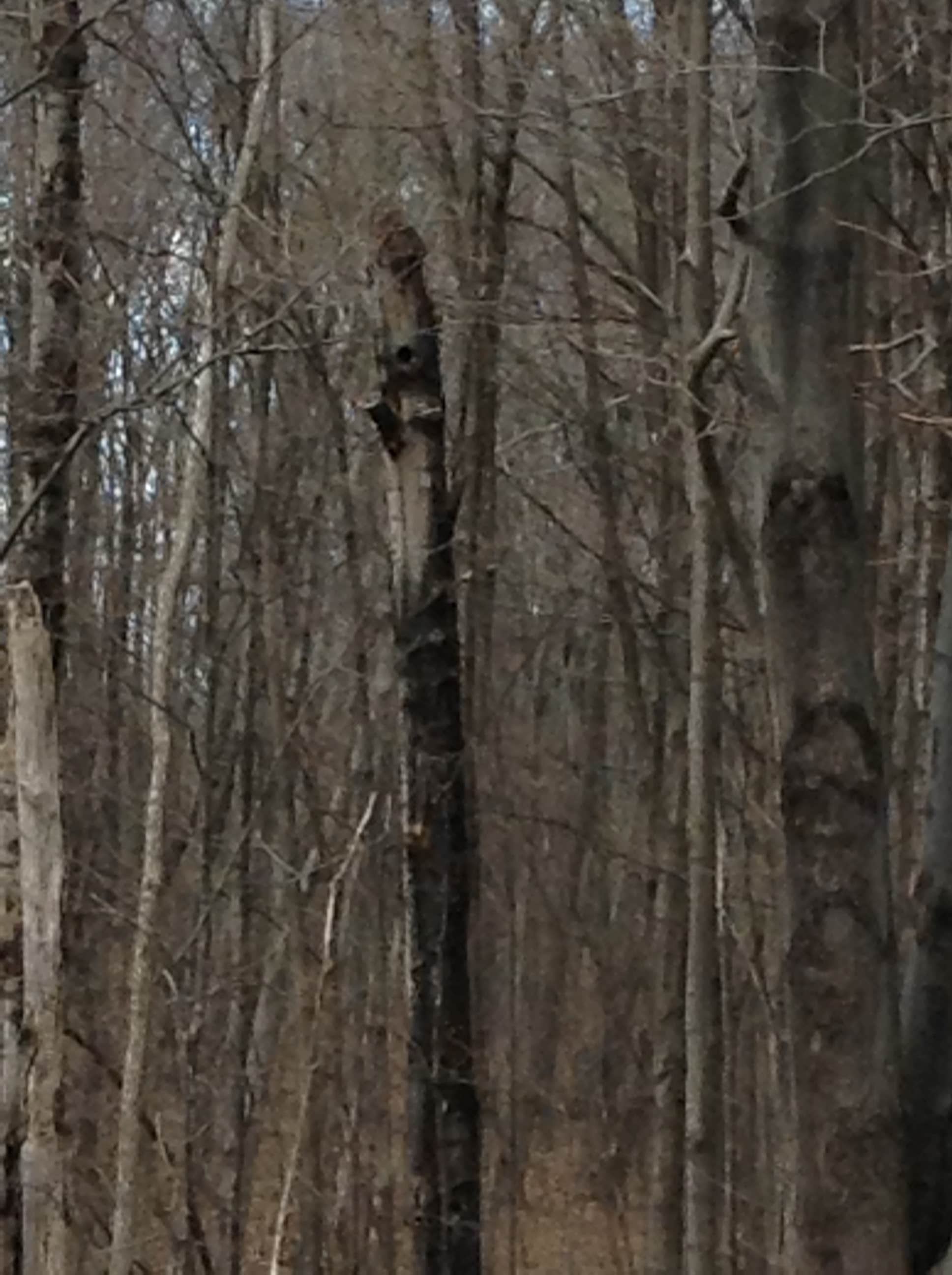 Camper submitted image from Moreau Lake State Park Campground - 1