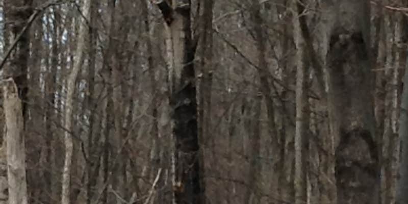 Camper submitted image from Moreau Lake State Park Campground