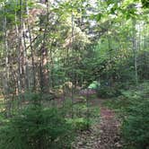 Review photo of Channel Marker Campsite On Grand Island by Shelly S., July 28, 2017